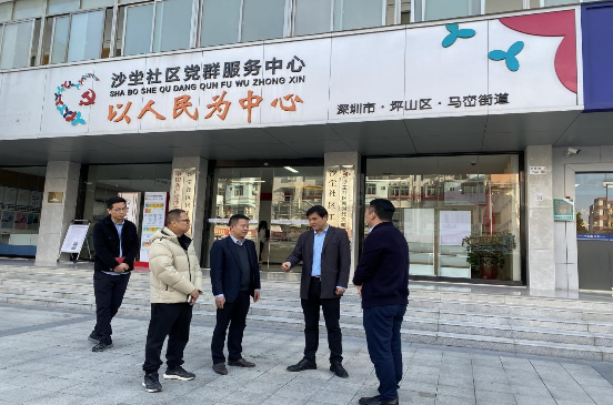杨建同志带队赴马峦街道沙坣社区开展 “一对一”挂点联系调研工作